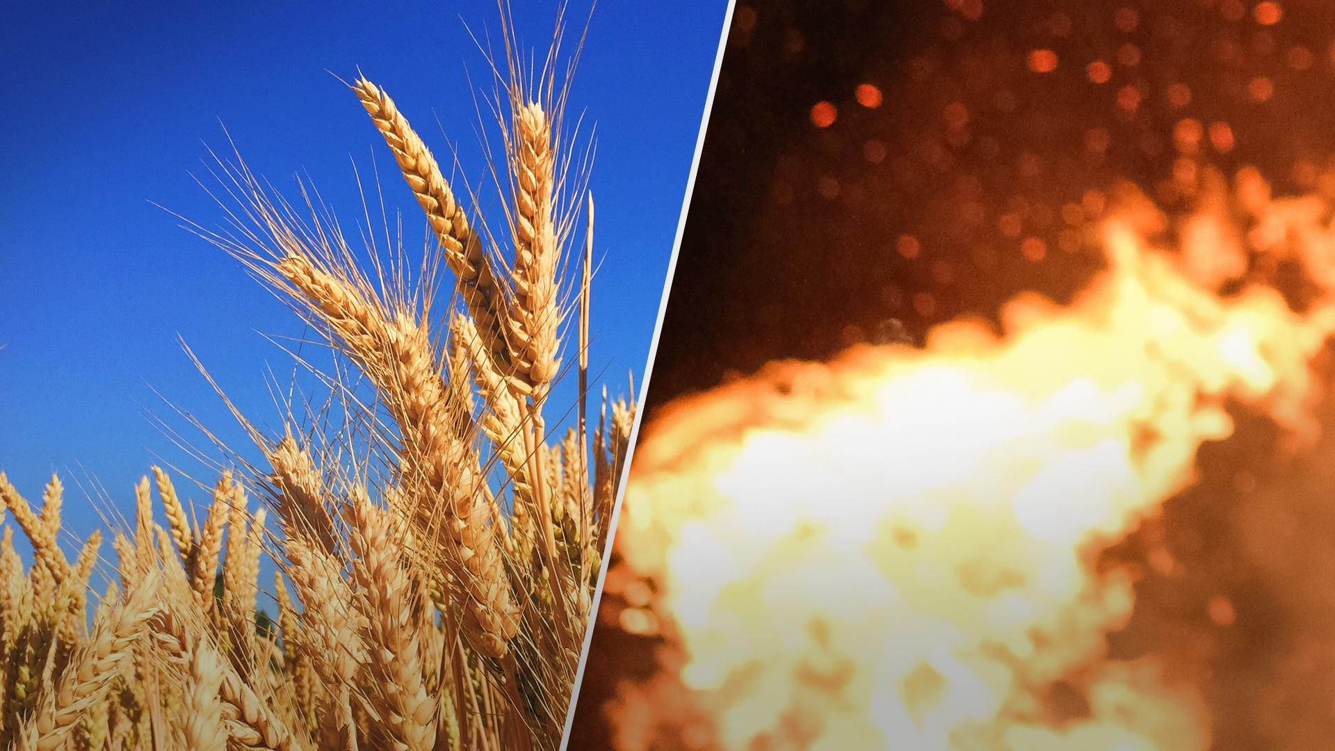 Окупанти на Півдні нищать сільськогосподарські поля, через обстріли виникають масштабні пожежі Окупанти на Півдні нищать сільськогосподарські поля, через обстріли виникають масштабні пожежі