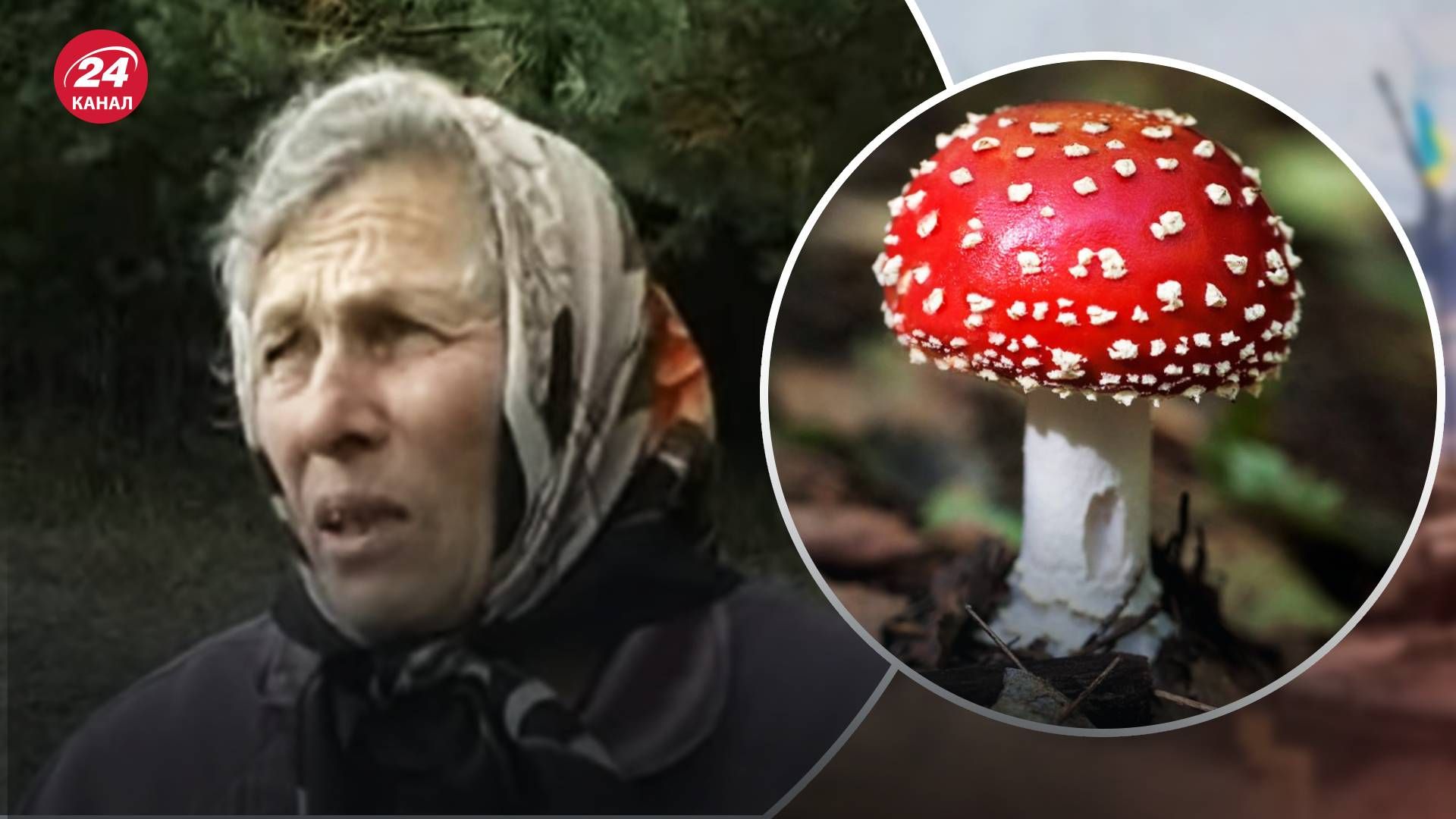 "Є мухомор красний в крапочку білу": як сюжет 24 каналу за 2010 рік потрапив у тренди тіктоку "Є мухомор красний в крапочку білу": як сюжет 24 каналу за 2010 рік потрапив у тренди тіктоку