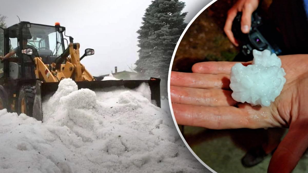 Як Німеччину та Францію "засніжило" на початку літа неймовірні фото та відео - 24 Канал Як Німеччину та Францію "засніжило" на початку літа неймовірні фото та відео - 24 Канал