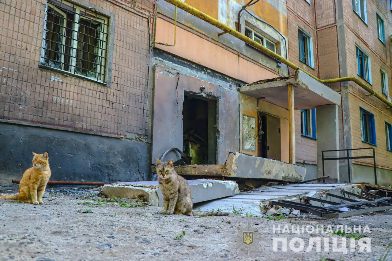 Кадри із зруйнованої Авдіївки