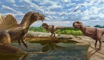 В египетском оазисе Бахария обнаружили короткомордого хищного динозавра