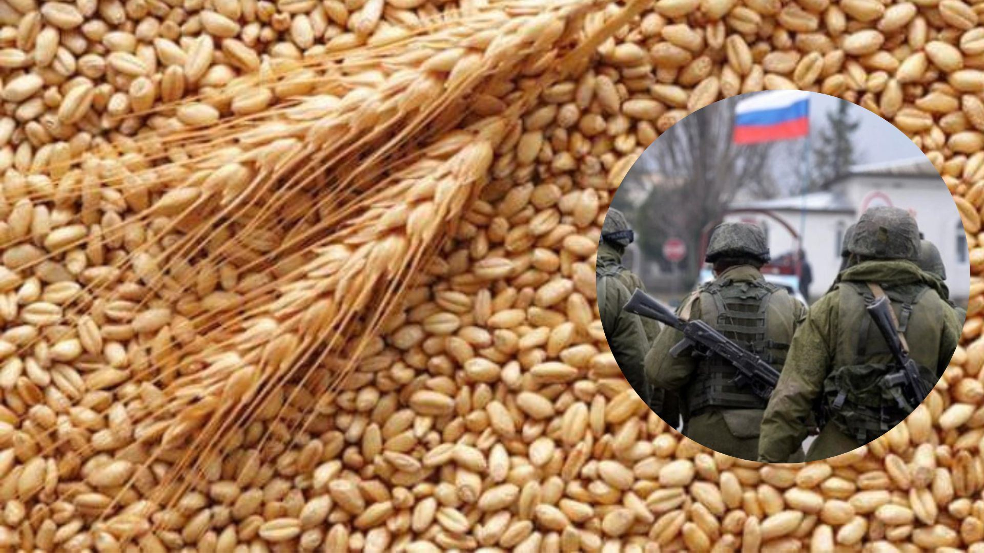Оккупанты планируют получить 1 миллион тонн зерновых с украинских полей
