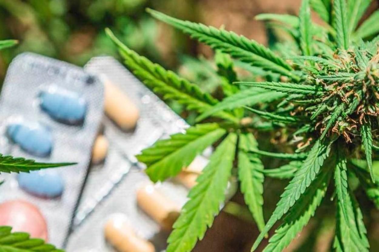 Закон полегшить все, – мати тяжкохворої дівчинки про важливість легалізації медичного канабісу Закон полегшить все, – мати тяжкохворої дівчинки про важливість легалізації медичного канабісу