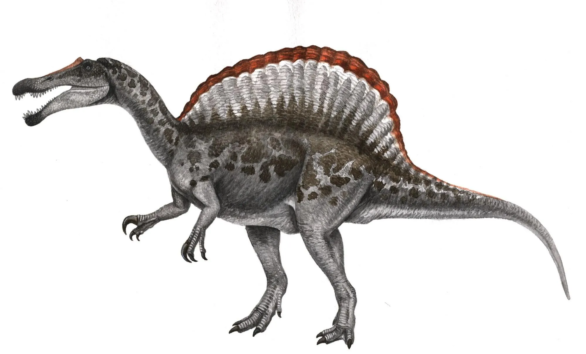 Спінозавр Спінозавр