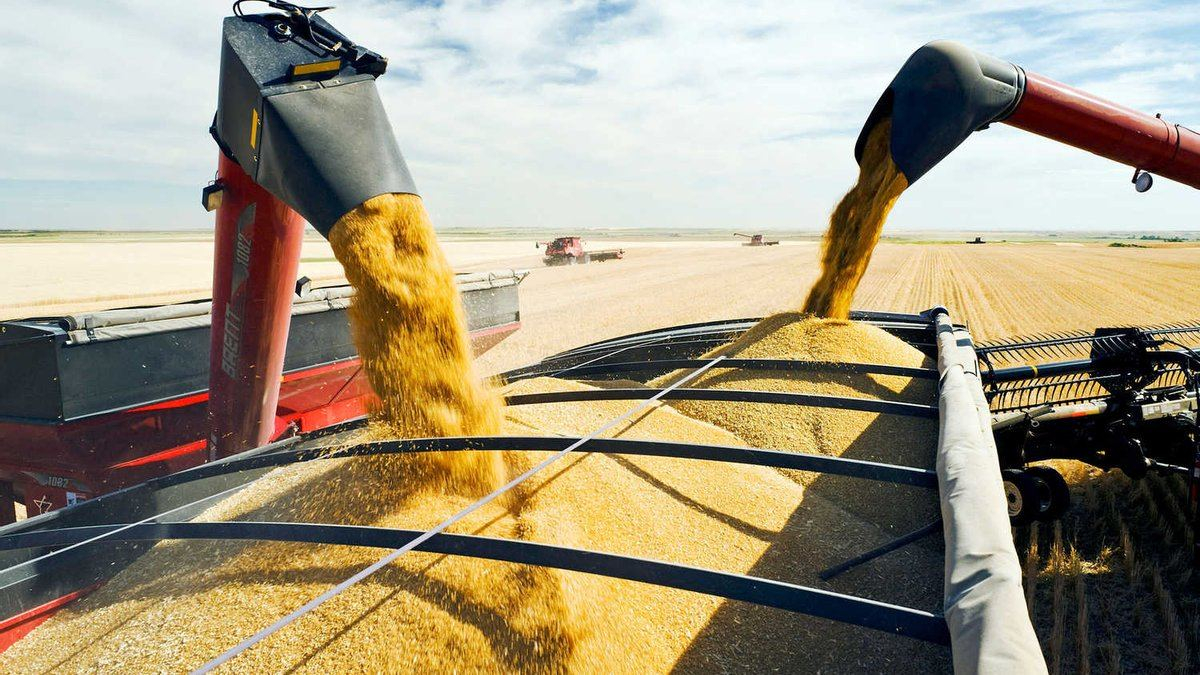 Україна розробила два маршрути для експорту зерна