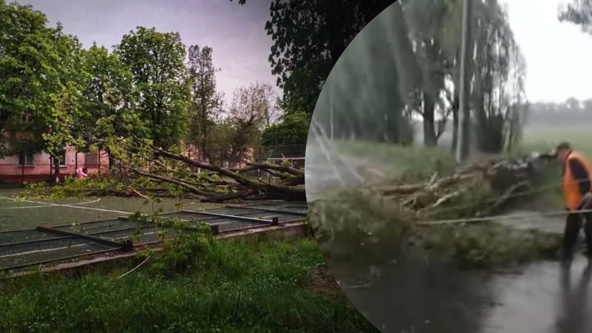 Мощный ураган пронесся по Сумам и повалил деревья: жуткое видео последствий