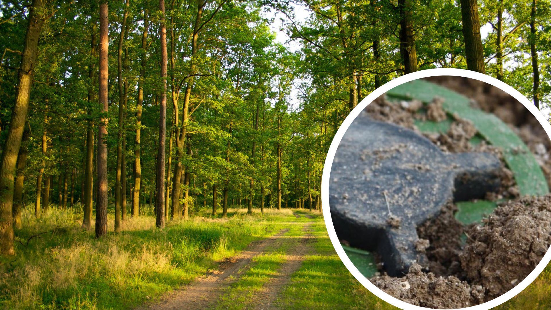 Безопасного места нет, – полиция призвала жителей Киевщины не посещать леса и пляжи Безопасного места нет, – полиция призвала жителей Киевщины не посещать леса и пляжи