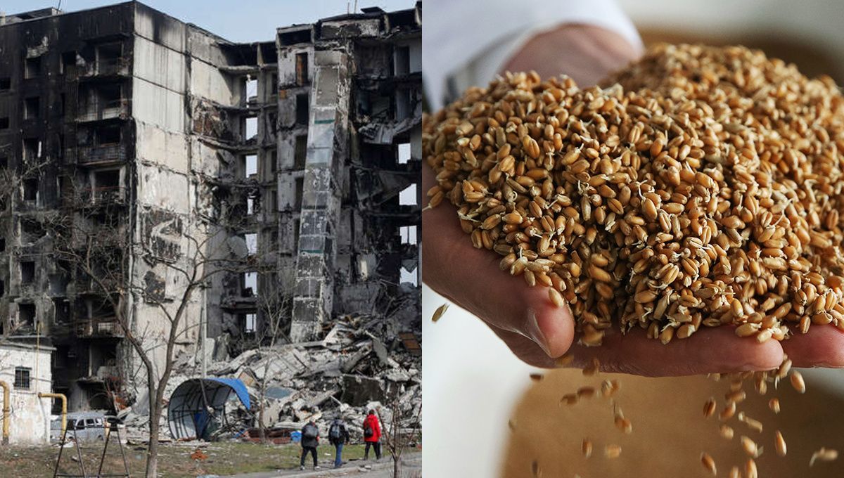 Пропагандисты "спалились": депутат раскрыл ложь оккупантов по поводу зерна в Мариуполе Пропагандисты "спалились": депутат раскрыл ложь оккупантов по поводу зерна в Мариуполе
