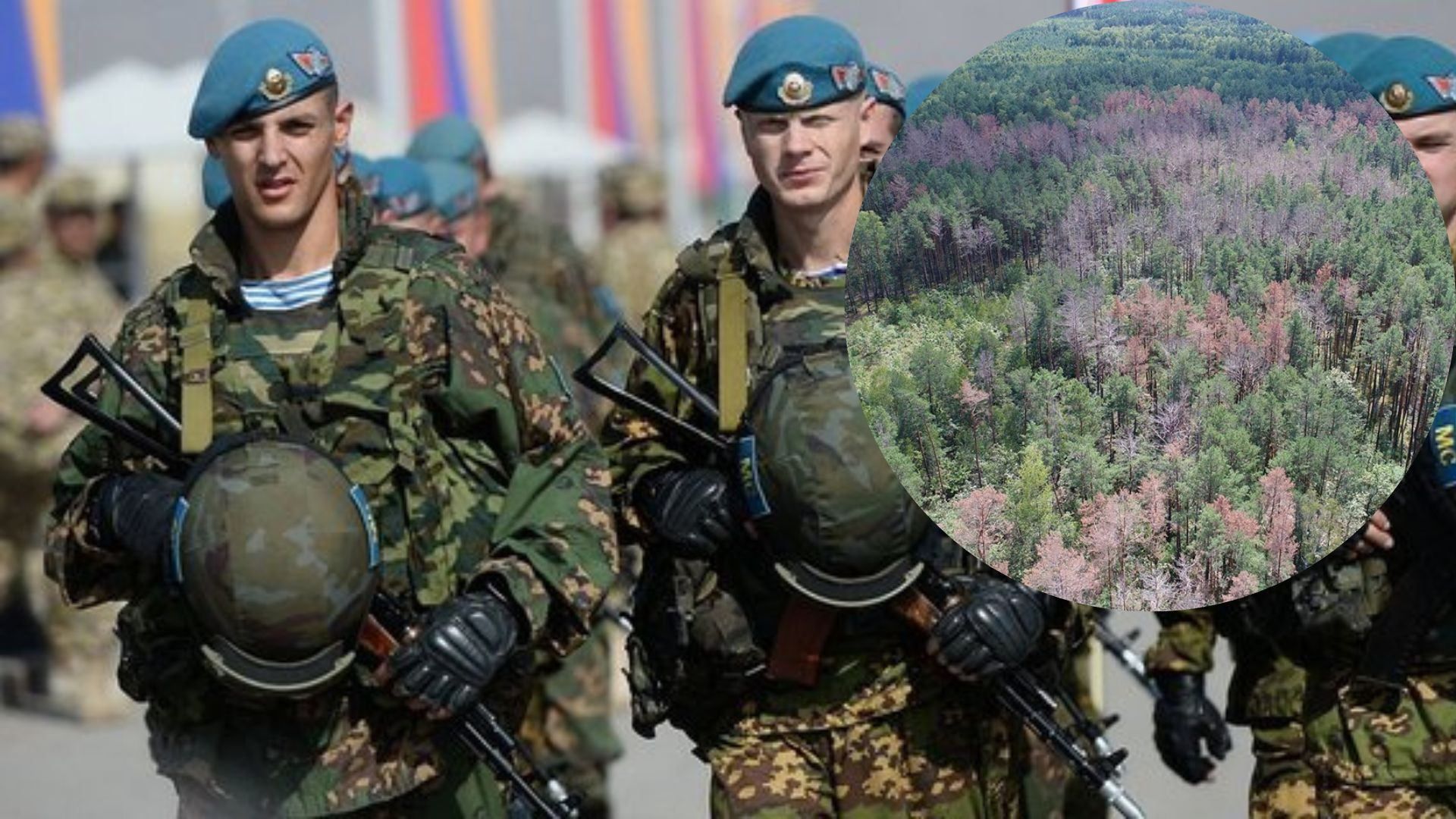 У 80 районах Білорусі заборонили відвідувати ліси: більшість із них – прикордоння з Україною У 80 районах Білорусі заборонили відвідувати ліси: більшість із них – прикордоння з Україною