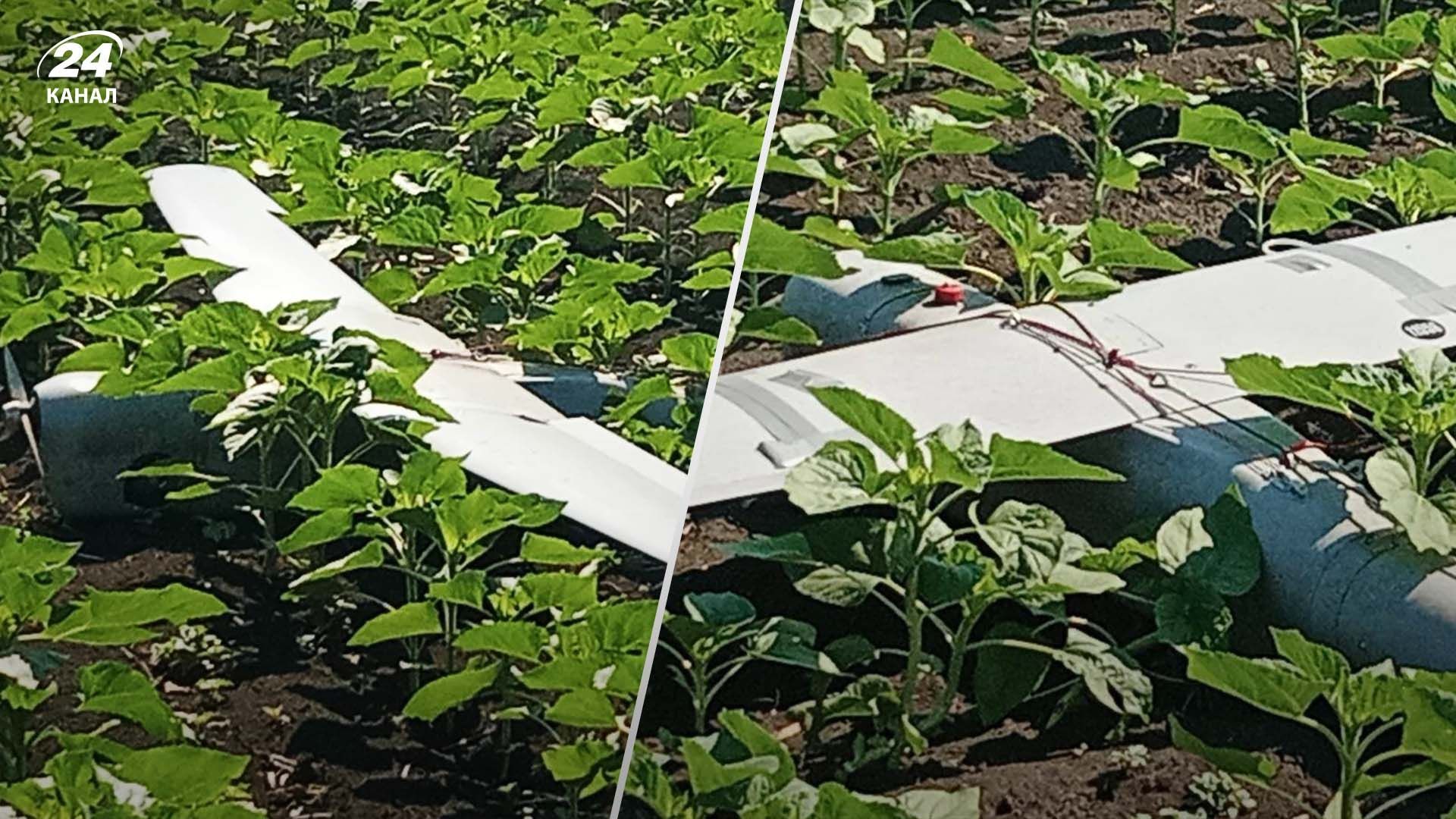 "Орлан" долітався: ЗСУ приземлили ще один ворожий безпілотник-розвідник "Орлан" долітався: ЗСУ приземлили ще один ворожий безпілотник-розвідник