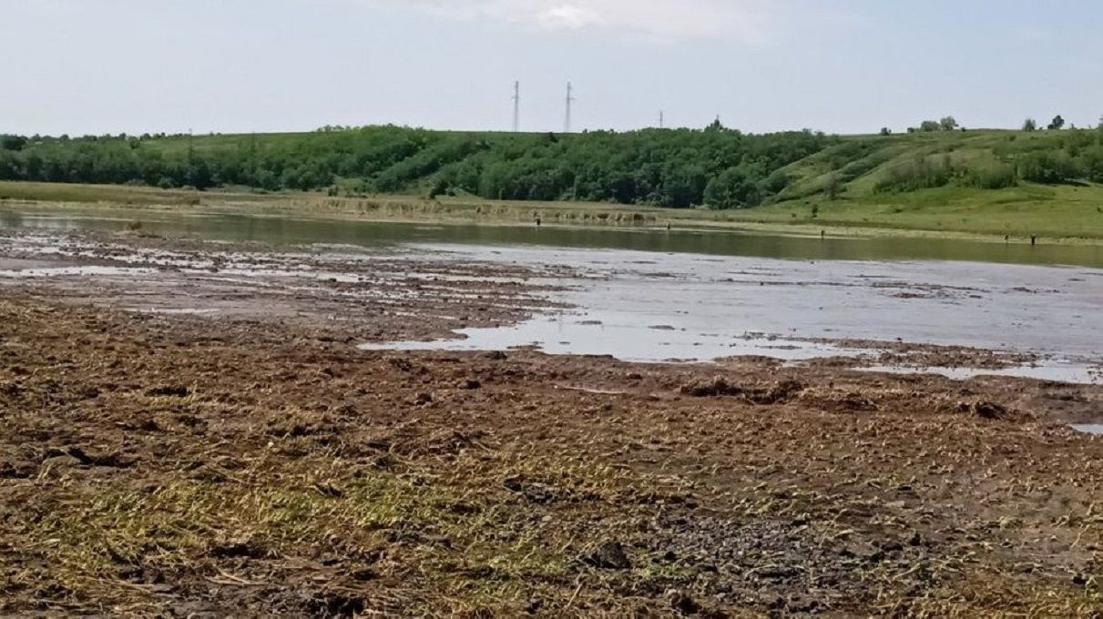 На Харьковщине из-за урагана затопило поля: уничтожены посевы подсолнечника и озимой пшеницы