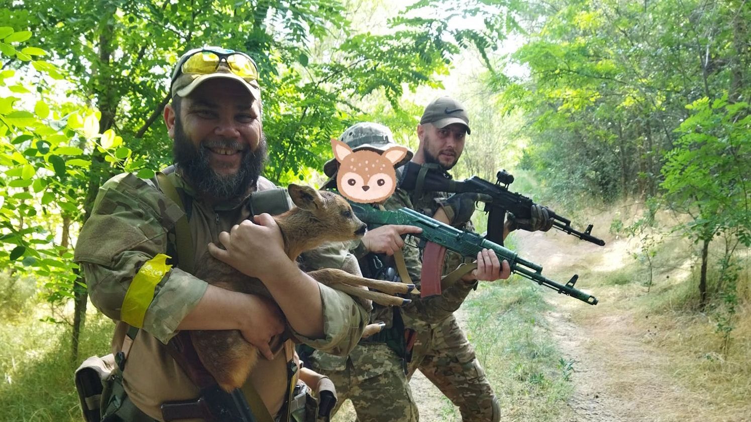 Бойцы ТрО спасли детеныша косули, мать которого погибла на российской растяжке: щемящее фото Бойцы ТрО спасли детеныша косули, мать которого погибла на российской растяжке: щемящее фото