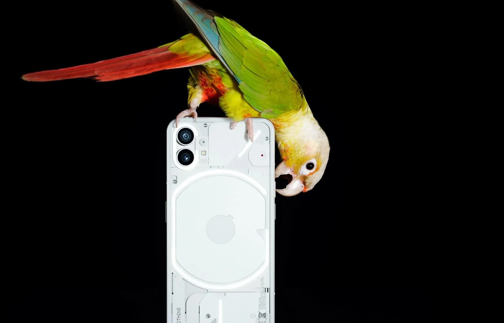 Nothing Phone 1 Nothing Phone 1