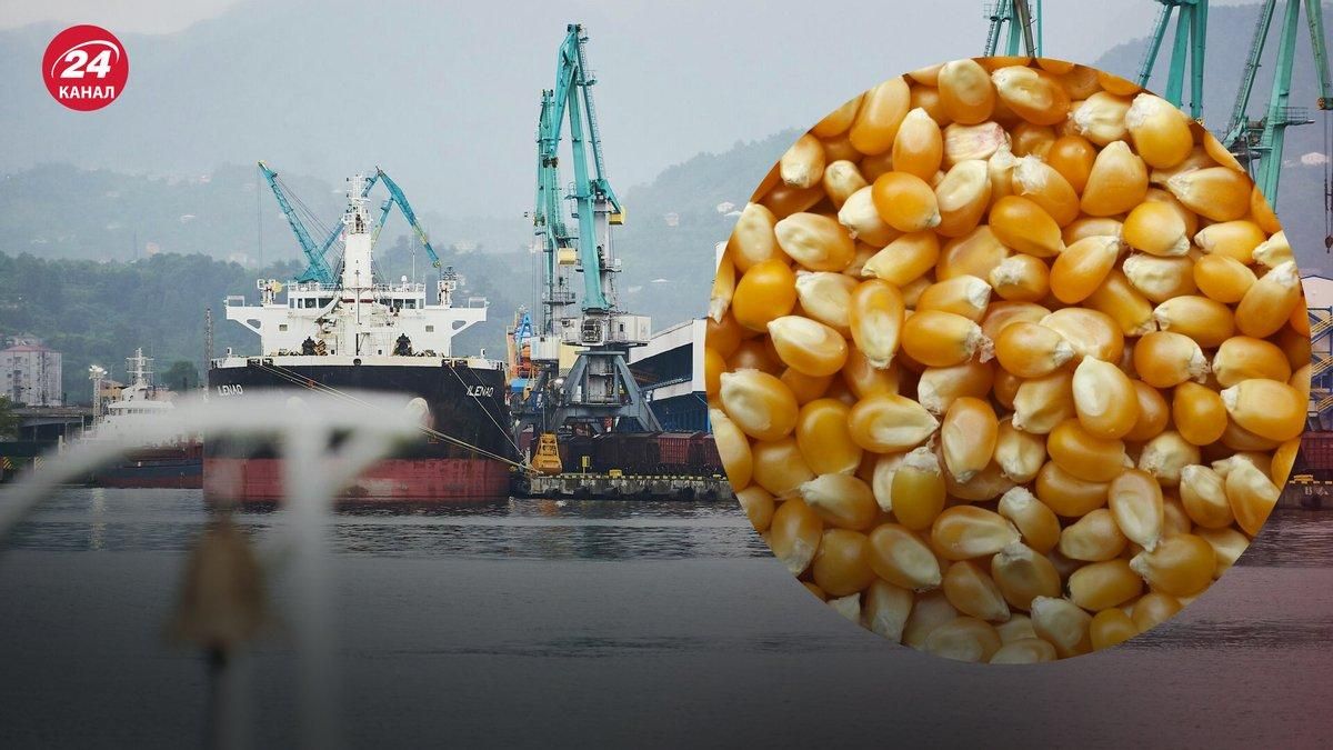 Вивезення зерна: Україна, Росія та Туреччина призначать представника від міноборони