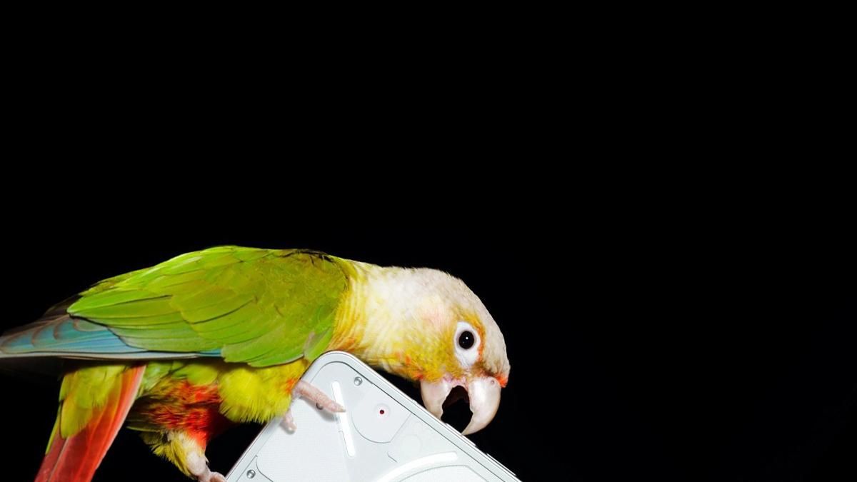 Изображения смартфона Nothing Phone 1 оказались в сети за месяц до выхода фото новинки - Техно Изображения смартфона Nothing Phone 1 оказались в сети за месяц до выхода фото новинки - Техно