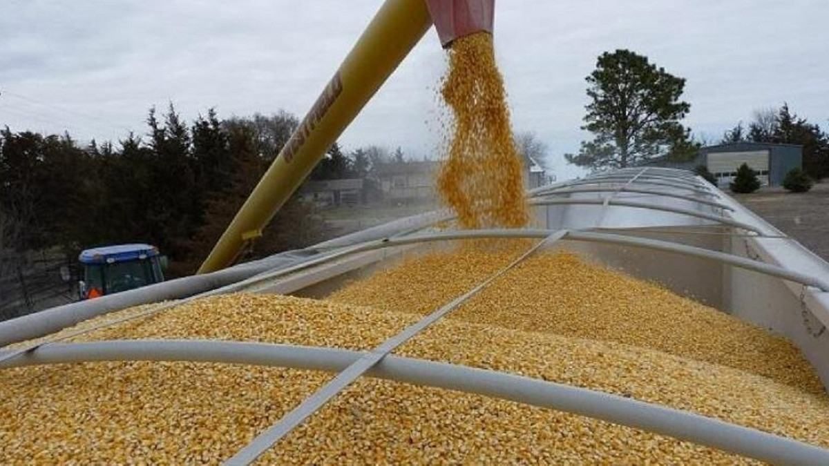 Гауляйтер Криму Аксьонов визнав, що Росія продає викрадене українське зерно