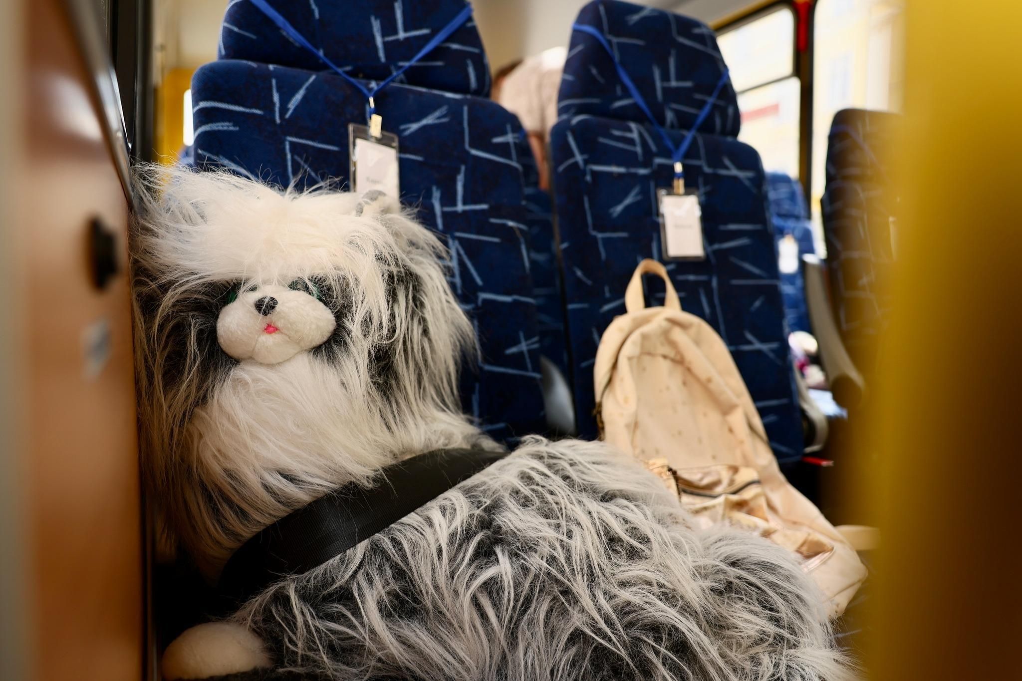 Найбільше на Донбасі: внаслідок агресії Кремля в Україні загинуло 318 дітей і понад 581 поранено Найбільше на Донбасі: внаслідок агресії Кремля в Україні загинуло 318 дітей і понад 581 поранено