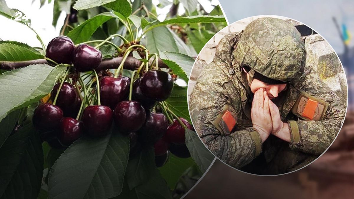 Мелітопольські фермери отруїли російських військових черешнею, – мер