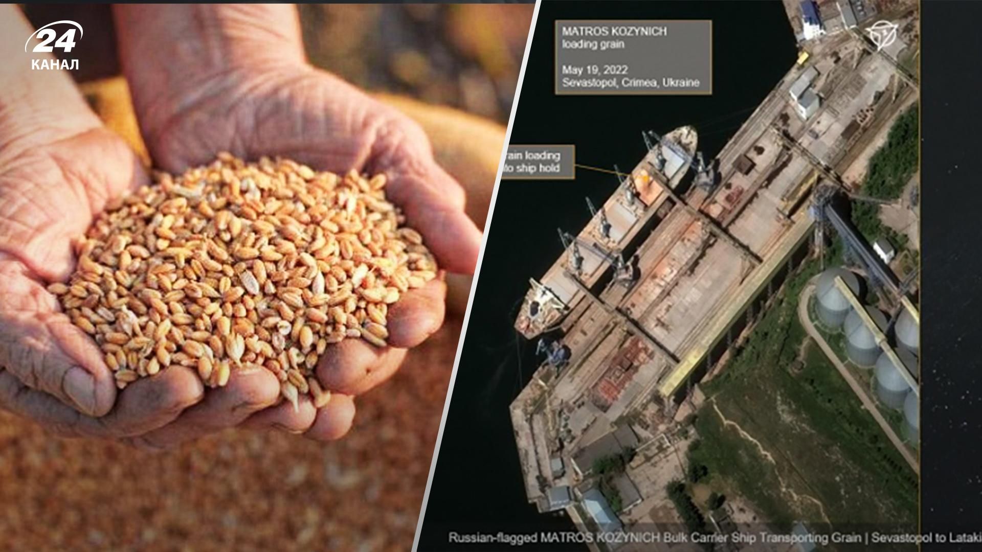 Maxar опубликовала фото, как российские суда возят украденное украинское зерно в Сирию