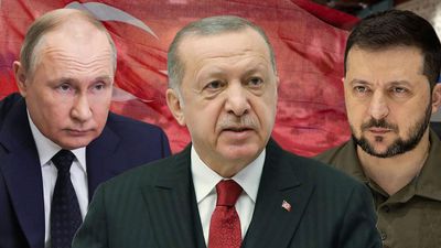 Деблокада портів та українське зерно: інтерв'ю з експертом про гру Ердогана та позицію США