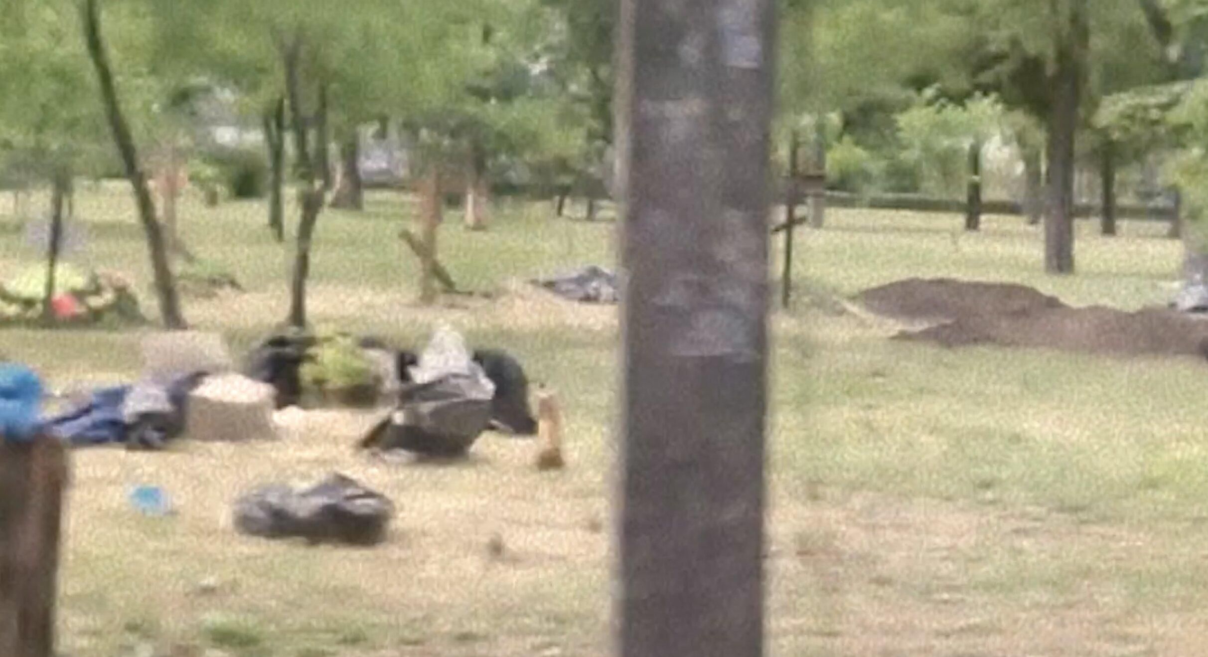 "Ведут себя, как с мусором": оккупанты начали медленную эксгумацию в Мариуполе "Ведут себя, как с мусором": оккупанты начали медленную эксгумацию в Мариуполе