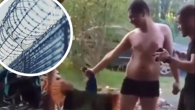 Купив, щоб знущатися: живодеру, який вбив павича на Буковині, повідомили про підозру