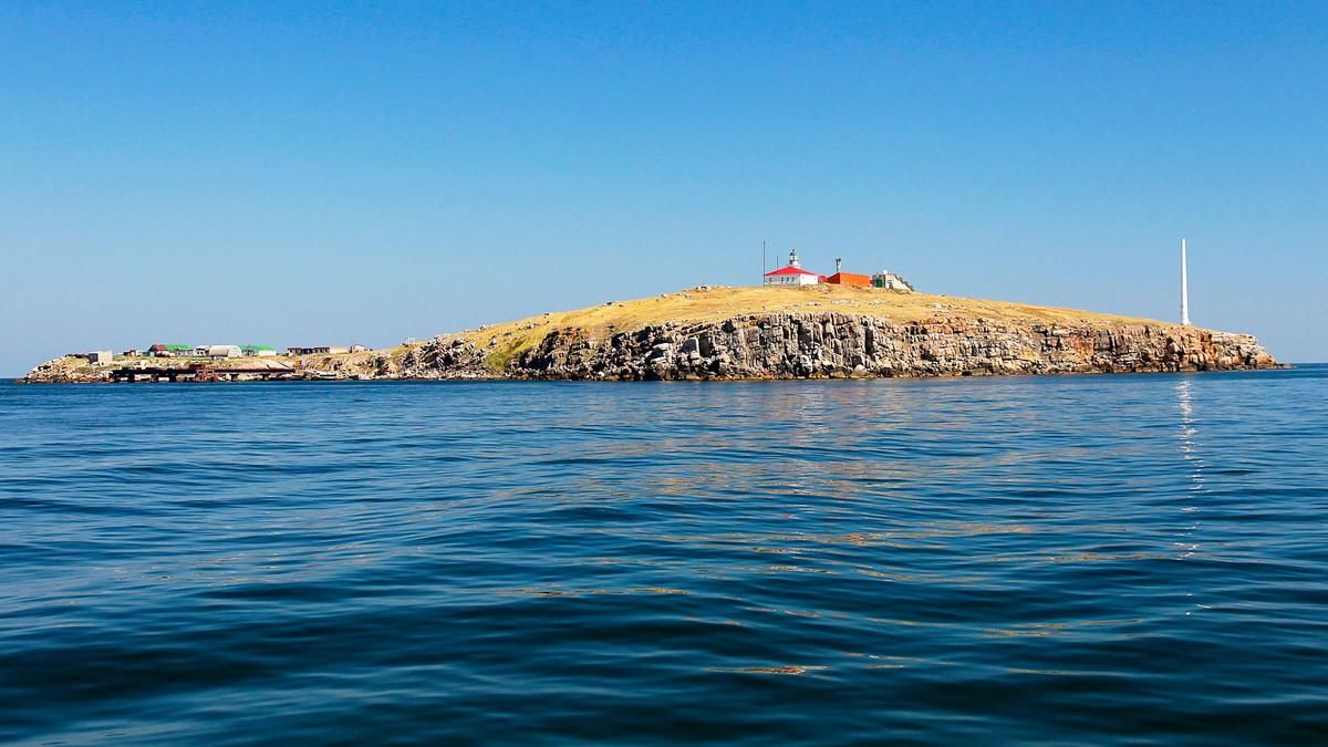 ВСУ нанесли врагу удар на Змеином: у кафиров значительные потери ВСУ нанесли врагу удар на Змеином: у кафиров значительные потери