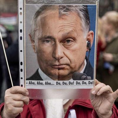 Разворот неизбежен, – эксперт объяснил нюансы политики Венгрии по отношению к Путину и Украине