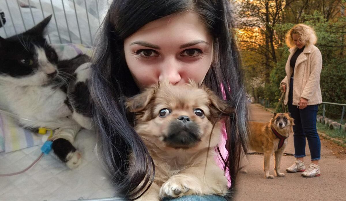 90% беды – от людей: зооволонтер о том, как они спасают животных во время войны в Украине 90% беды – от людей: зооволонтер о том, как они спасают животных во время войны в Украине