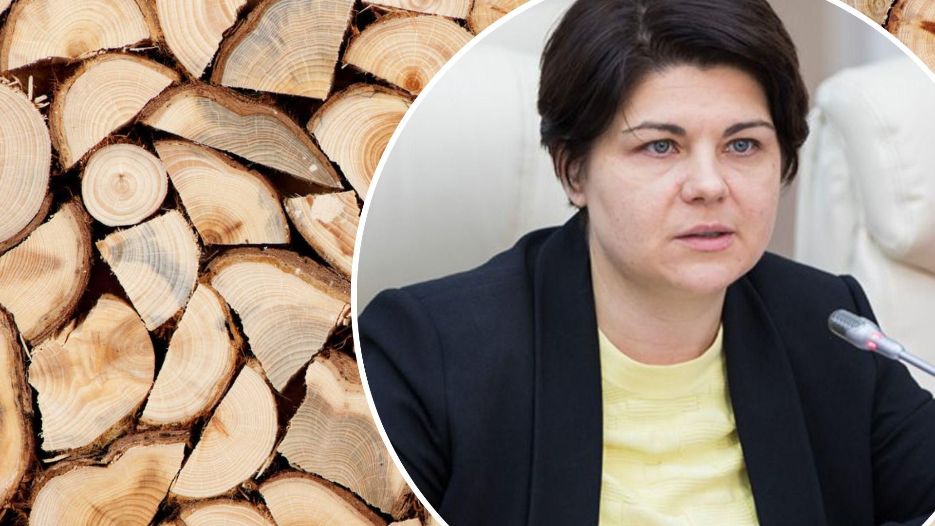 В Молдове готовятся к "сложной осени": власть хочет обеспечить население дровами В Молдове готовятся к "сложной осени": власть хочет обеспечить население дровами