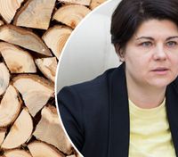 В Молдове готовятся к "сложной осени": власть хочет обеспечить население дровами