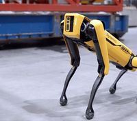 Не Патрон, але теж симпатичний: в Україну приїде сапер-робопес від Boston Dynamics, – ЗМІ