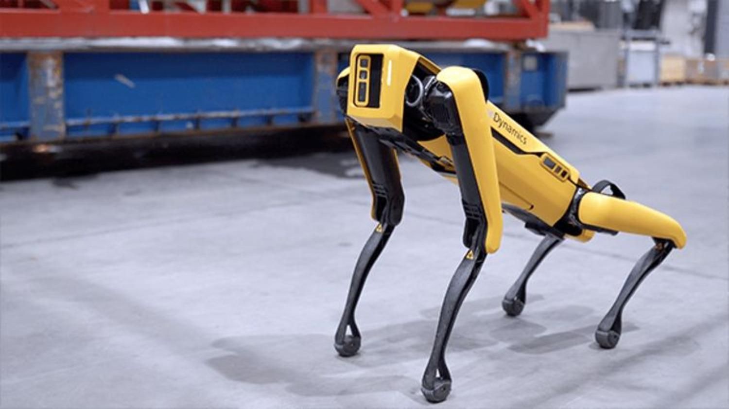 Не Патрон, но тоже симпатичный: в Украину приедет сапер-робопес от Boston Dynamics, – СМИ