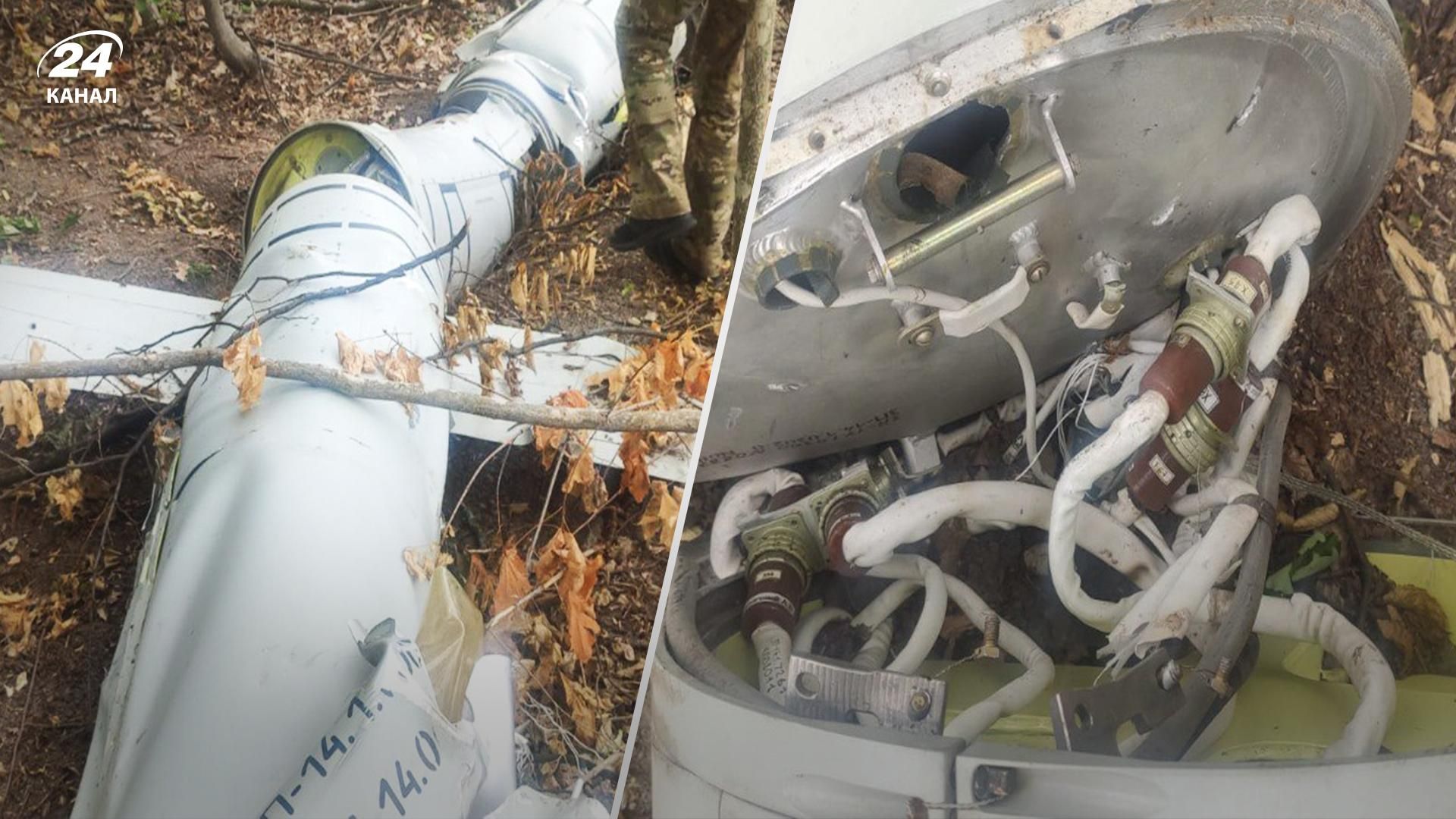 В Винницкой области лесничие обнаружили вражескую крылатую ракету "Калибр", которую сбили еще месяц назад