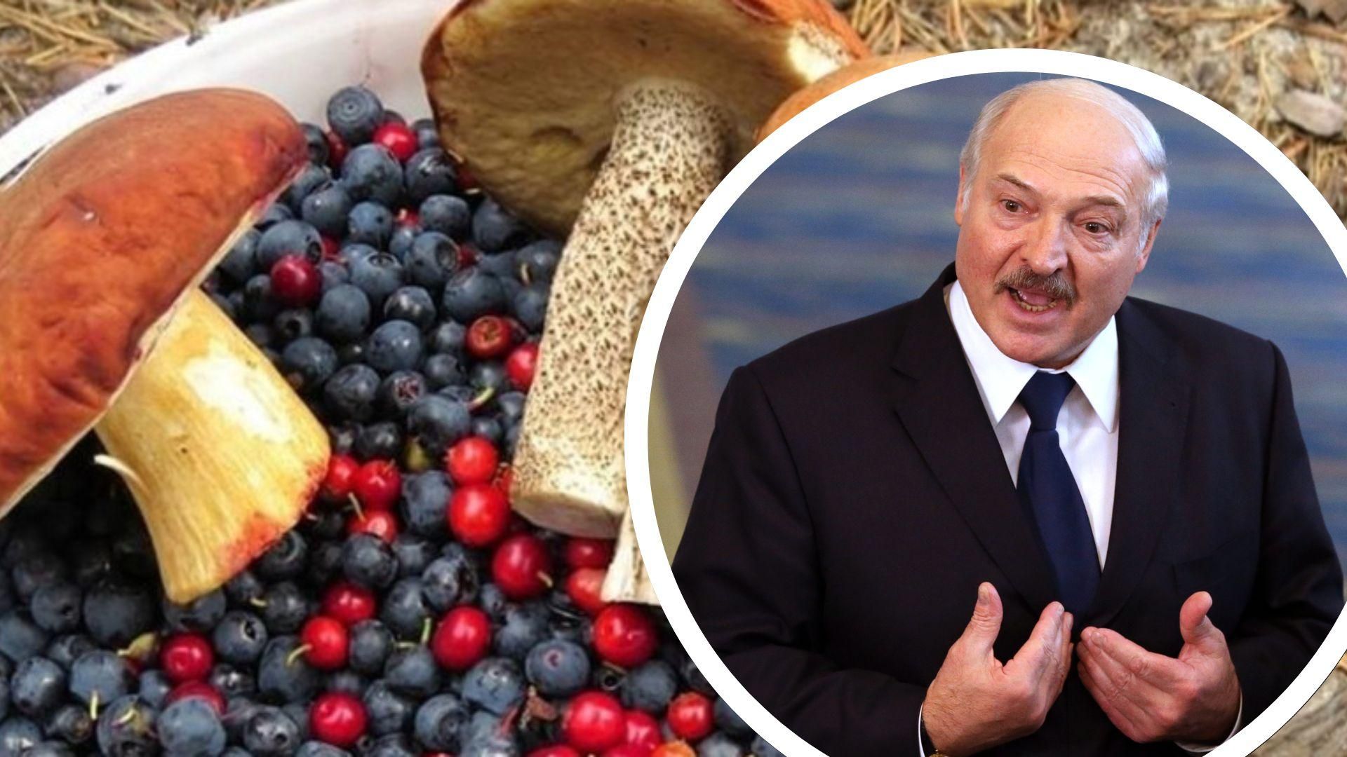 Это провокация, – ГНСУ о разрешении украинцам собирать ягоды на территории Беларуси Это провокация, – ГНСУ о разрешении украинцам собирать ягоды на территории Беларуси