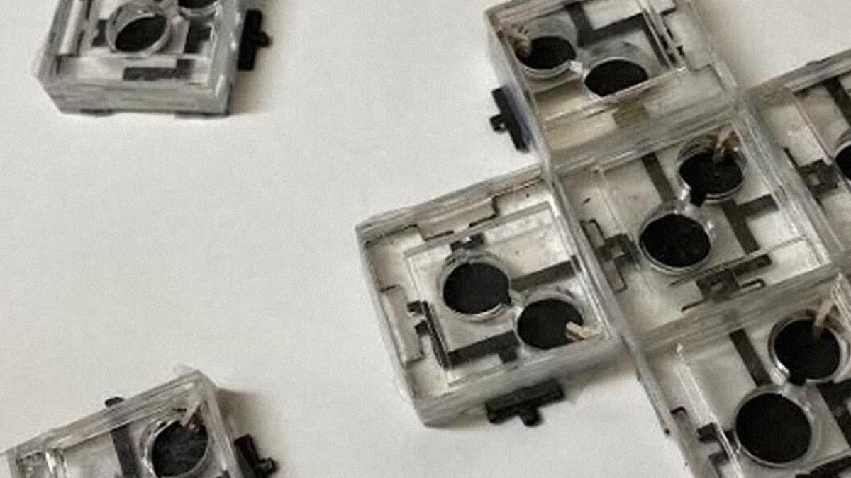 В США создали батарейки, работающие несколько недель только на энергии бактерий - Техно В США создали батарейки, работающие несколько недель только на энергии бактерий - Техно