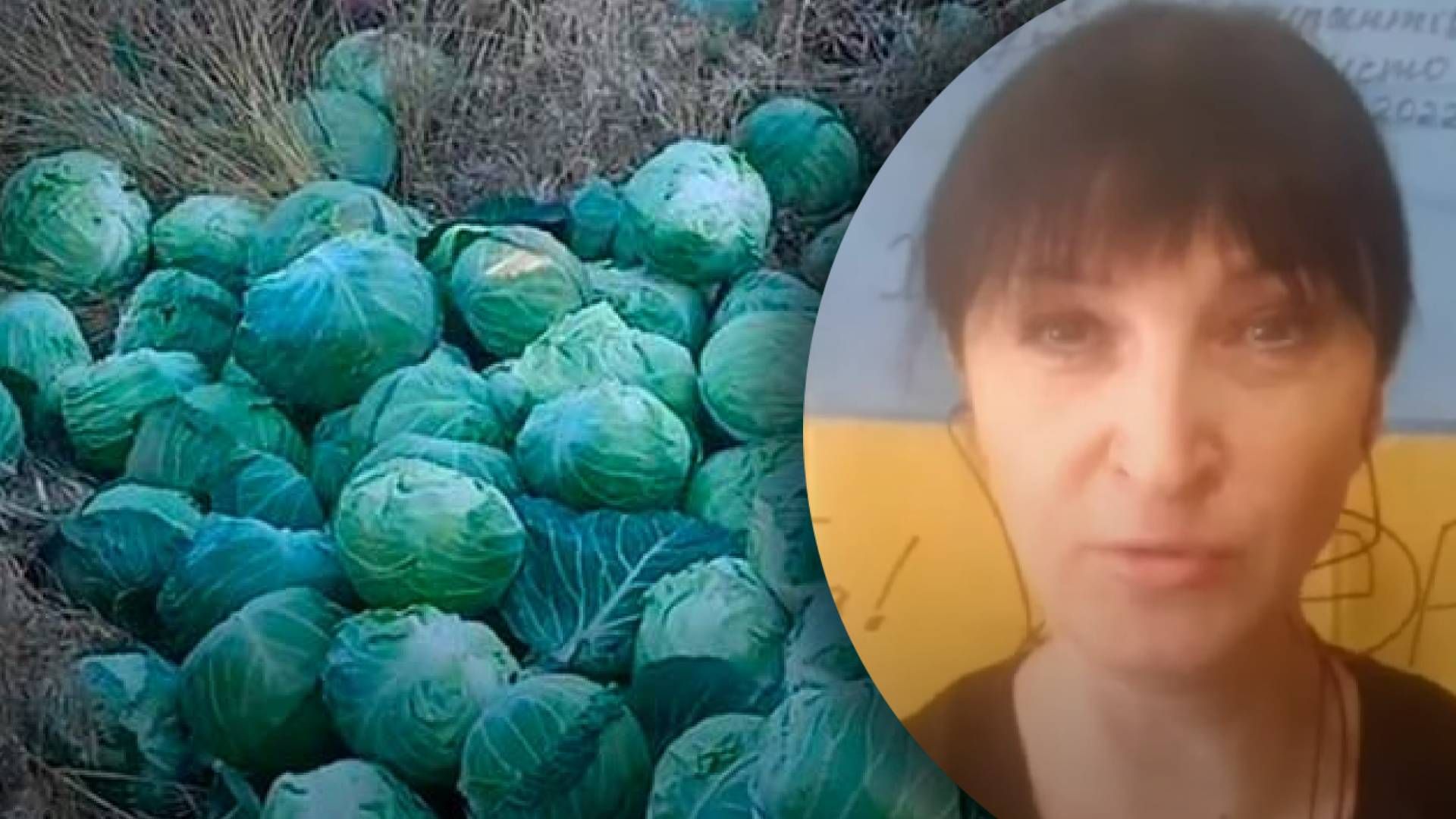 "На днях выбросили кучу капусты": возле Херсона продолжают гнить целые горы овощей "На днях выбросили кучу капусты": возле Херсона продолжают гнить целые горы овощей