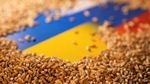 Спасет ли Турция мир от голода в "зерновой" войне