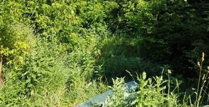 оккупанты продолжают сжигать тела своих военных в котловане оккупанты продолжают сжигать тела своих военных в котловане