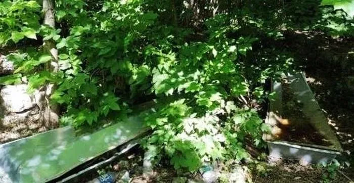 оккупанты продолжают сжигать тела своих военных в котловане оккупанты продолжают сжигать тела своих военных в котловане