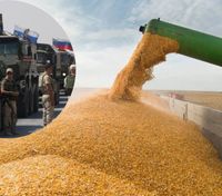 Росія вивезла з України щонайменше 400 тисяч тонн зерна
