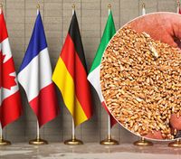G7 введет санкции за вывоз зерна из Украины, – Белый дом