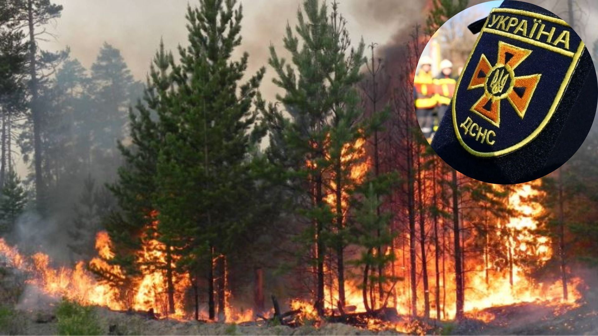 Майже по всій Україні – пожежна небезпека: рятувальники попередили про низку заборон Майже по всій Україні – пожежна небезпека: рятувальники попередили про низку заборон