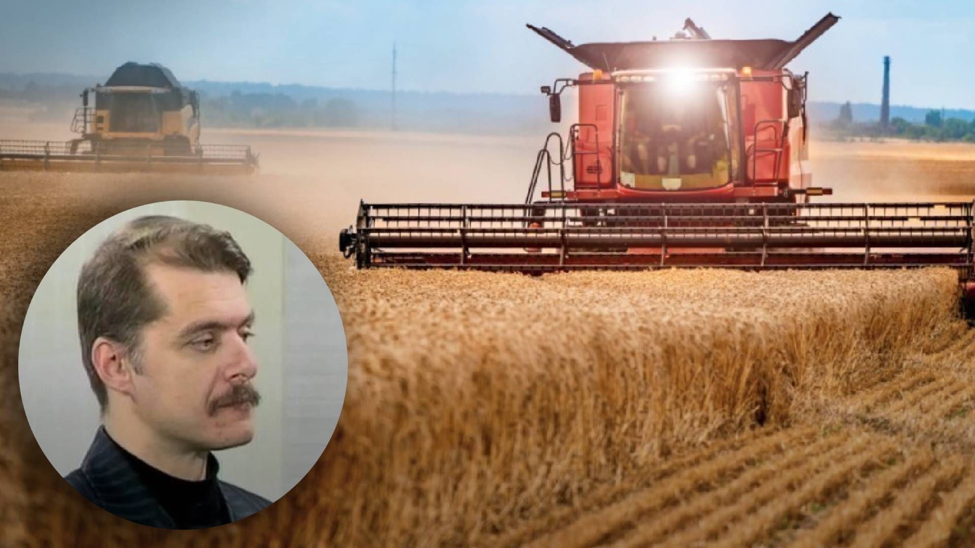 Наживаються російські митники: активіст з Херсона розкрив схему розкрадання українського зерна Наживаються російські митники: активіст з Херсона розкрив схему розкрадання українського зерна