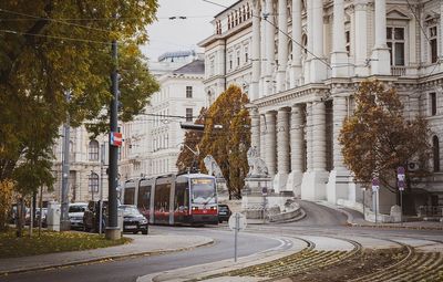 Транспорт Відня залишається безкоштовним для українців: скільки ще діятимуть пільги