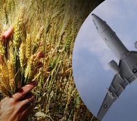 Британские самолеты могут патрулировать морские "зерновые коридоры" из Украины