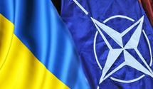 НАТО не може ухвалювати рішення щодо передачі озброєння, воно належить державам, – аналітик