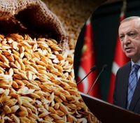 Для вивозу зерна з України вже готові 20 кораблів, – Ердоган