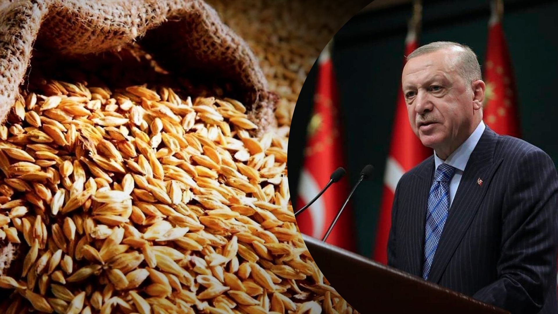 Ердоган заявив, що для вивозу зерна з України вже готові 20 кораблів