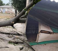 Из-за непогоды в Одесской области срывало крыши и на магазин упало дерево